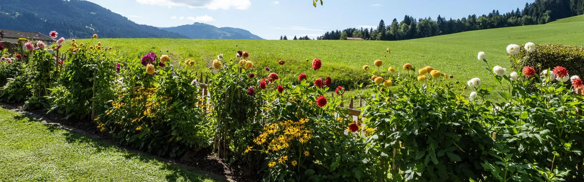Ferienwohnungen_Webern_Aschauerweg_56_58_Going_09_2023_Garten_Blumen